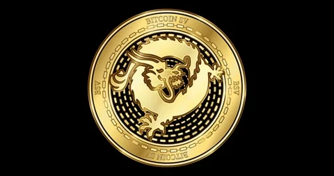 Animated Bitcoin SV (BSV) cryptocurrency gold coin Stock Footage 102817092
