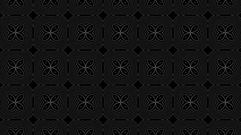 Animated black and white background. Looped black and white background. Black Stock Footage 230935838