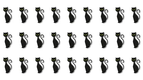 Animated Black Cat Silhouettes Grid Pattern Background for Halloween Project. Stock Footage 345049687