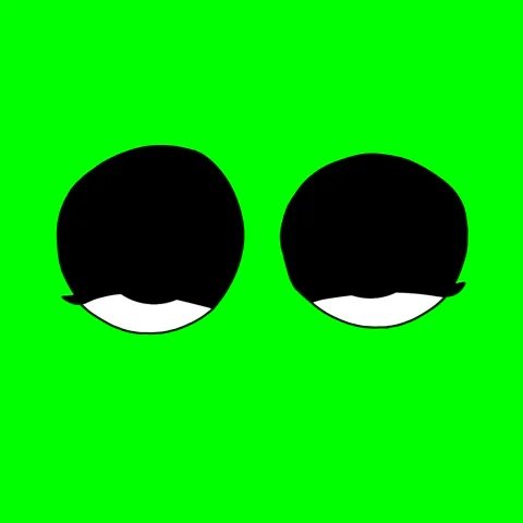 Animated Blinking Eyes on Green Screen Stock Footage 316474332