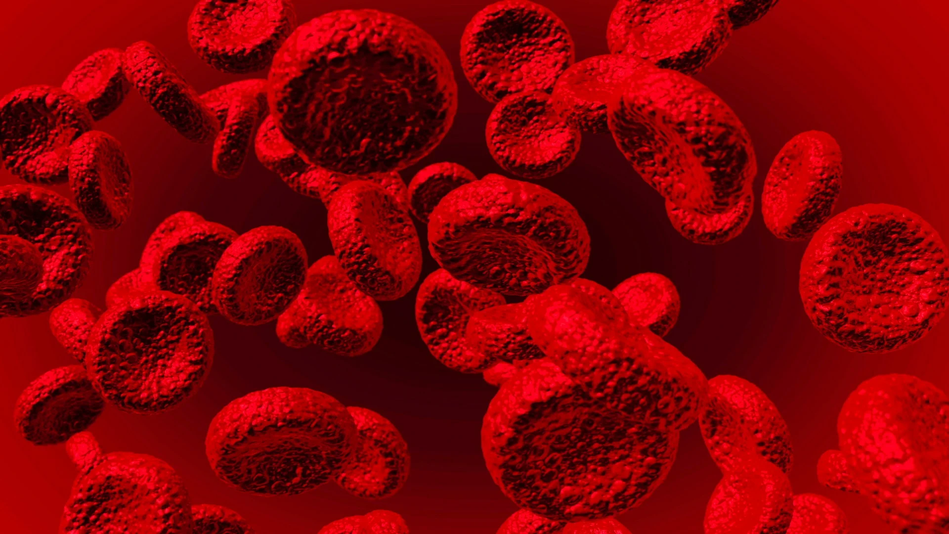 blood cells wallpaper