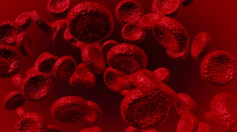 Animated Blood Cells Stock Footage 52269785