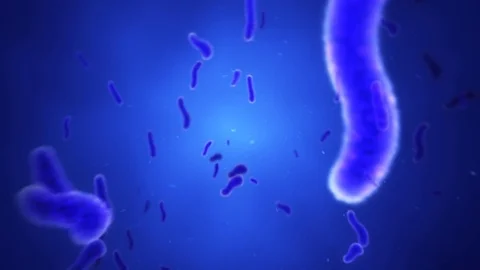 Animated Blue Bacteria in Plasma Stock Footage 72143531