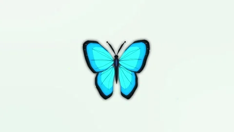 Animated blue butterfly flapping wings in loop, nature vector stock footage Stock Footage 347940078