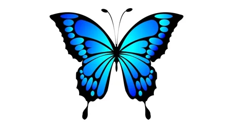 Animated Blue Butterfly - White Background Stock Footage 285212833