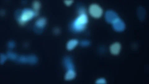 Animated blue cells drifting under microscope Stock-Footage 346882352