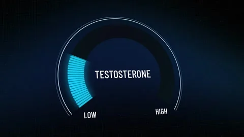 Animated blue digital gauge testosterone level, presentation needle moving fr Stock Footage 315517344