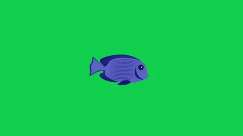 Animated blue fish on green screen ideal for aquatic animation compositing Stock Footage 309099497