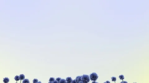 Animated Blue Flowers Growing Stock-Footage 82911291