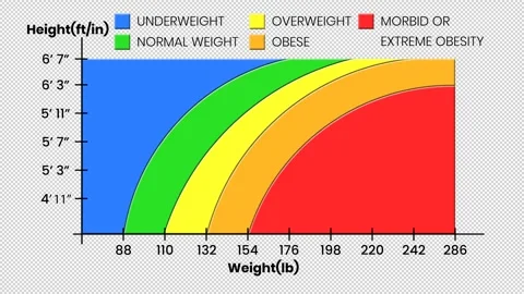 Animated BMI chart with imperial units. Transparent background Stock Footage 312674460