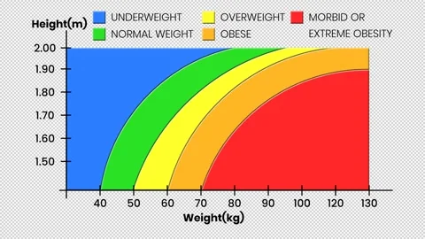 Animated BMI chart with metric units. Transparent background Stock Footage 312674593