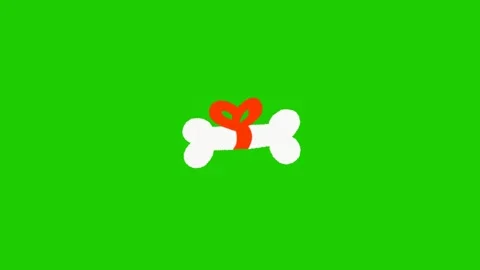 Animated Bone Motion Effect on Green Screen Stock Footage 341079088