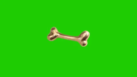 Animated Bone Motion Effect on Green Screen Stock Footage 341079107