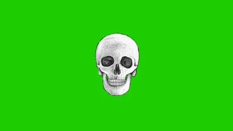 Animated Bone Motion Effect on Green Screen Stock Footage 341079120