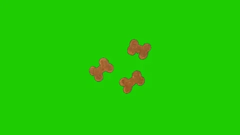 Animated Bone Motion Effect on Green Screen Stock Footage 341079129