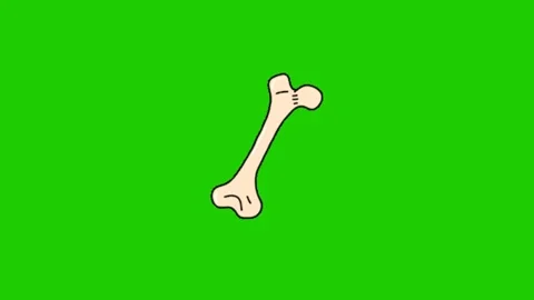 Animated Bone Motion Effect on Green Screen Stock Footage 341079724