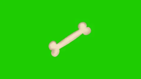 Animated Bone Motion Effect on Green Screen Stock Footage 341079736