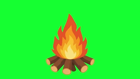 Animated bonfire burning loop on green screen background for camping, outdo.. Vídeos de archivo 340382680