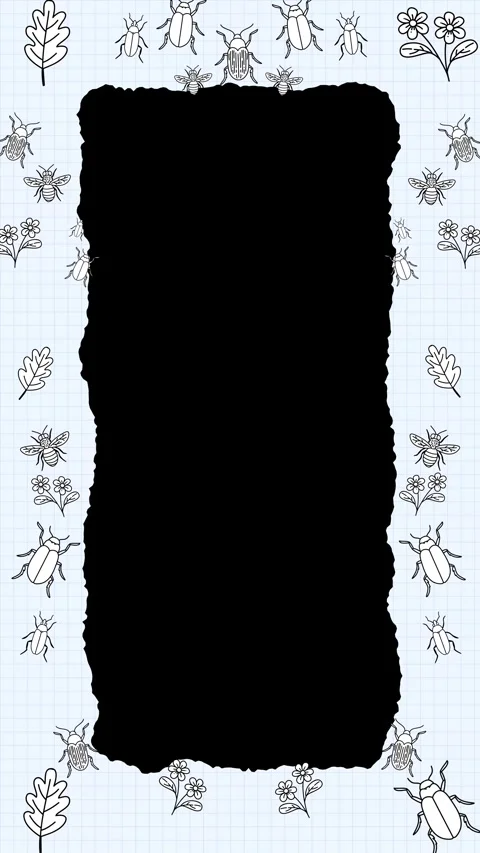 Animated Botanical and Insect Doodle Vertical Border Frame Stock Footage 345317235
