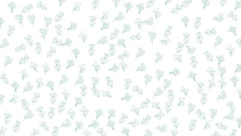 Animated botanical doodle pattern on white background gentle motion graphics Video stock 335925741