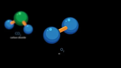 Animated Breakdown of Carbon Dioxide, Oxygen, and Water Molecules Video stock 318339914