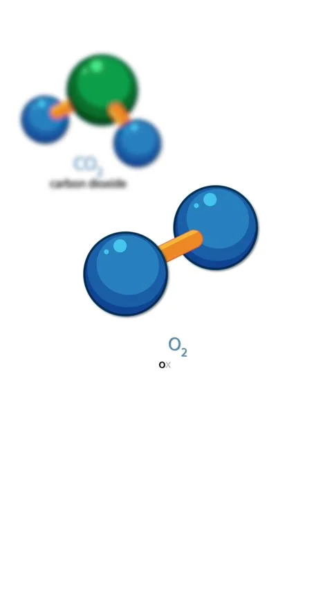 Animated Breakdown of Carbon Dioxide, Oxygen, and Water Molecule Structures Video stock 318939351