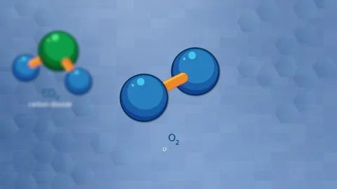 Animated Breakdown of Carbon Dioxide, Oxygen, and Water Molecule Structures Video stock 318939425
