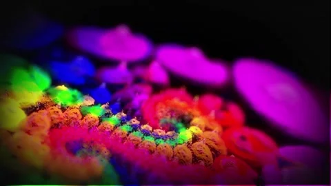 Animated Bright Landscape of Particles Stock Footage 211827458
