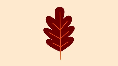 Animated brown oak leaf drifting down in warm autumn tones Stock Footage 320286795