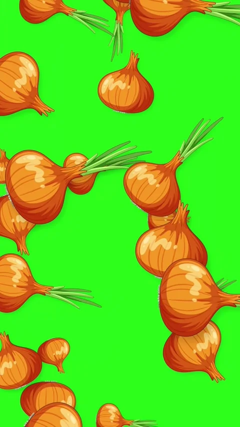 Animated Brown Onions Falling Downwards on a Green Screen Background Stock Footage 342101608
