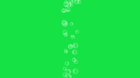 Animated Bubbles Flying Up Isolated on Green Screen Background Video stock 303382356