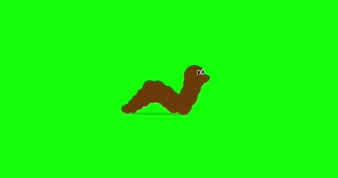 Animated Bug/Insect Crawling Green Screen Loop - Creepy Critter VFX Overlay Stock Footage 318885725