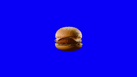 Animated Burger on Chroma Key Background Vídeo Stock 337593333
