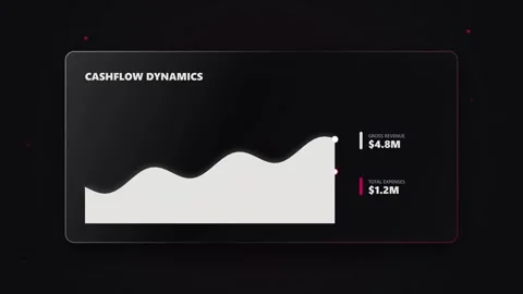 Animated Business Dashboard Showcases Financial Data Portfolio Value Cashfl.. 動画素材 347278053