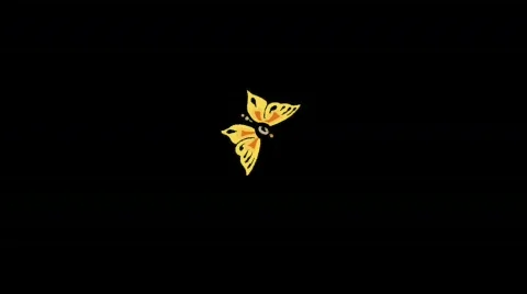 Animated Butterfly in Center of Screen with Alpha Video stock 863604