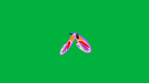 Animated butterfly flying on green screen ideal for nature scenes Stock Footage 308866886