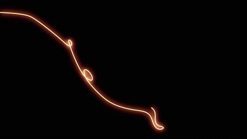 Animated butterfly neon elements effect, Light neon on black background with Video stock 165932117