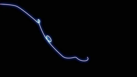 Animated butterfly neon elements effect Video stock 167368524