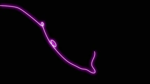 Animated butterfly neon elements effect. Butterfly one continuous line drawing Video stock 167368533