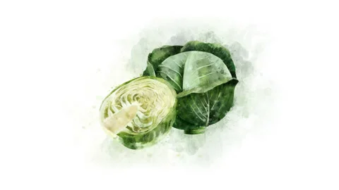 Animated Cabbage elements for video editing Stockbeeldmateriaal 93509130