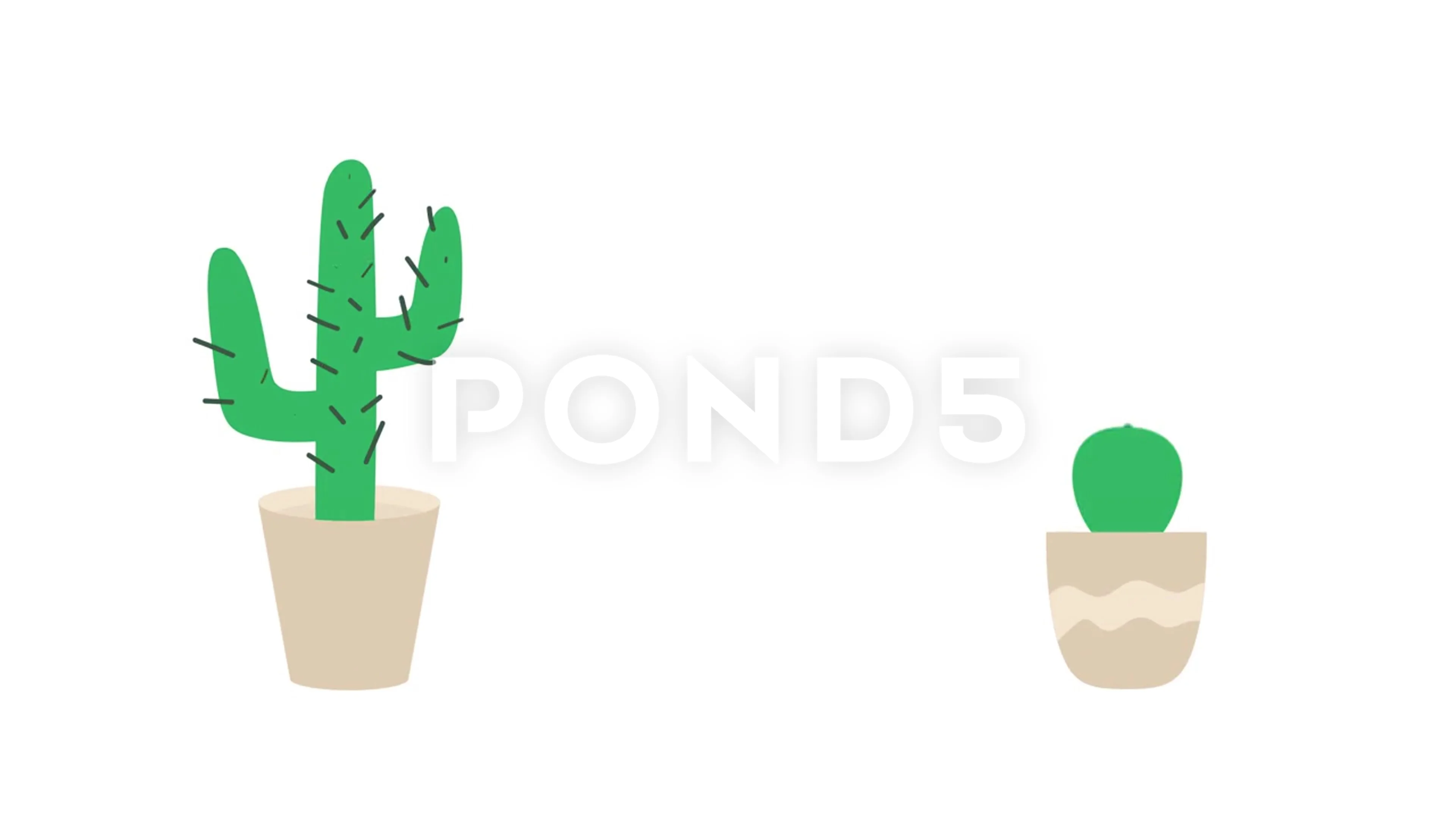 Animated cactus Plant in flower pot icon... | Stock Video | Pond5