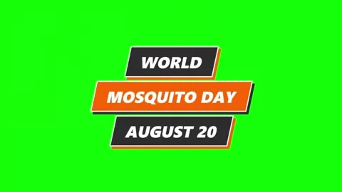 Animated Calendar Flipping to August 20 World Mosquito Day Green Screen Vídeo Stock 340413986