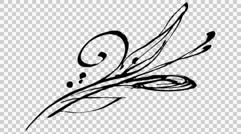 Animated calligraphy ink drawing botany black on alpha Stock Footage 54145679