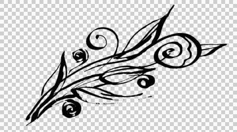 Animated calligraphy ink drawing botany black on alpha Stock Footage 54145739