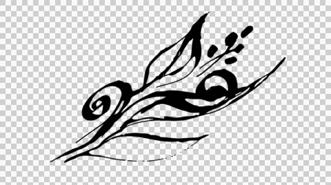Animated calligraphy ink drawing botany black on alpha Stock Footage 54145794