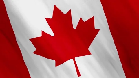 Animated Canada Flag Waving in the Wind Stock Footage 168414120