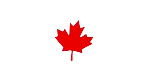 Animated Canadian maple leaf swaying gently in the wind on chroma key green scre Stock Footage 336413420