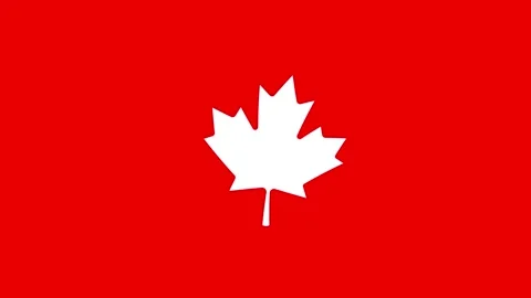 Animated Canadian maple leaf swaying gently in the wind on chroma key green scre Stock Footage 336413422