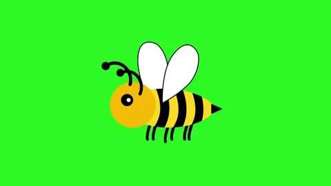 Animated cartoon bee on a background that changes from green screen to white.  Stock Footage 314977778