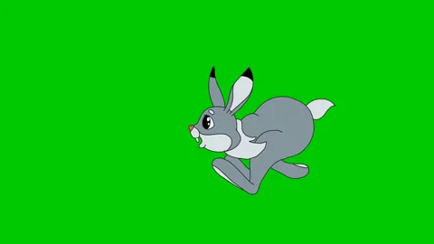 Animated Cartoon Character Hare 3 Stock Footage 85904980
